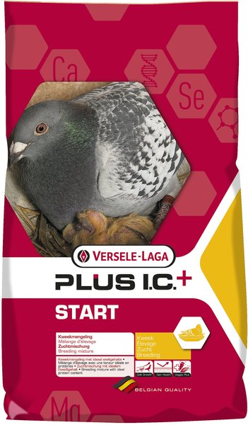 Versele-Laga Plus I.C Start Pigeon Food, 44-lb bag slide 1 of 7