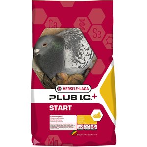 Versele-Laga Plus I.C Start Pigeon Food, 44-lb bag