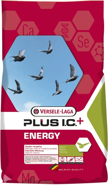 Versele-Laga Plus I.C Energy Pigeon Food, 39.6-lb bag slide 1 of 7