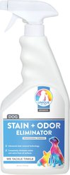 Unique Pet Care Fresh Rain Dog Odor + Stain Remover, 24-oz bottle slide 1 of 9
