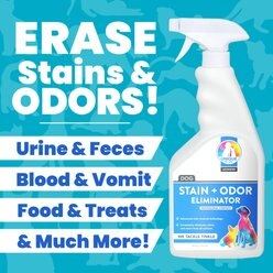 Unique Pet Care Fresh Rain Dog Odor + Stain Remover, 24-oz bottle slide 2 of 9