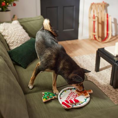 Show full view: Frisco Holiday Santa's Cookies Plush Squeaky Dog Toy, 4 count slide 5 of 7