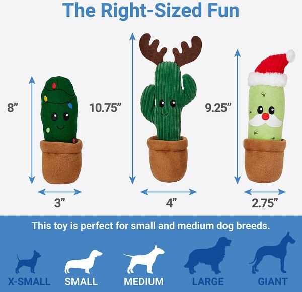 Frisco Birthday Cactus Plush Squeaky Dog Toy