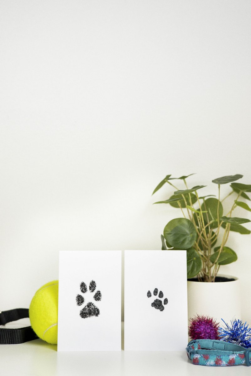 Pet Paw Print Ink Kit, Dog Paw Print Kit
