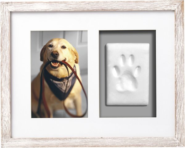 Pearhead Pawprints Wall Picture Frame, 4 x 6-in slide 1 of 6