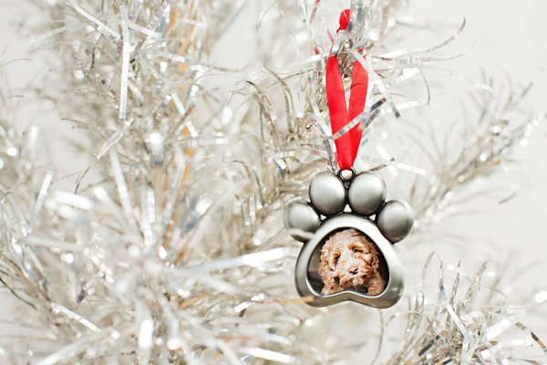Show full view: Pearhead Dog Paw Pet Photo Ornament slide 3 of 5