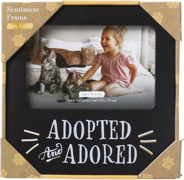 Discontinued KATE & MILO Adopted & Adored Sentiment Frame, 6 x 4in