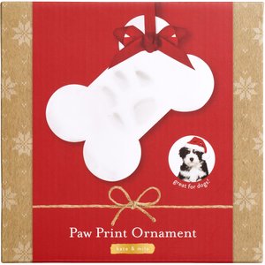 Kate & Milo Paw Print Bone Ornament Kit