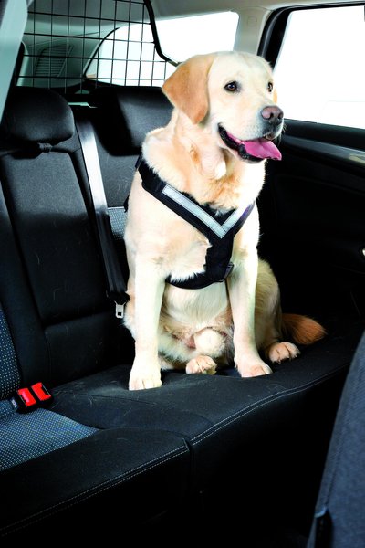 4x4 North America AllSafe Dog Harness
