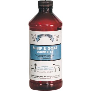 Rooster Booster Liquid B-12 Premium Sheep & Goat Supplement, 16-oz bottle