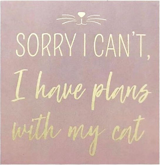 New View "Sorry I Can't, I Have Plans with My Cat" Box Sign slide 1 of 2