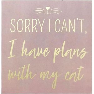 New View "Sorry I Can't, I Have Plans With My Cat" Box Sign