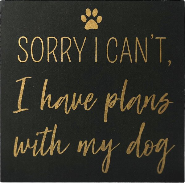 New View "Sorry I Can't, I Have Plans with My Dog" Box Sign slide 1 of 2