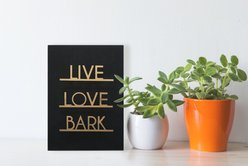 New View "Live Love Bark" Box Sign slide 2 of 2