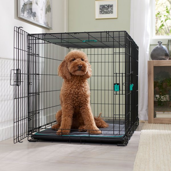 Frisco Heavy Duty Enhanced Lock Double Door Fold & Carry Wire Dog Crate & Mat Kit, Teal, Large slide 1 of 8