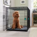 Frisco Heavy Duty Enhanced Lock Double Door Fold & Carry Wire Dog Crate & Mat Kit, Teal, L: 42-in L x 29-in W x 30-in H