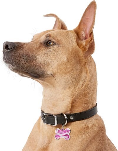 GoTags Camo Personalized Dog ID Tag, Bone Shape, Pink, Regular