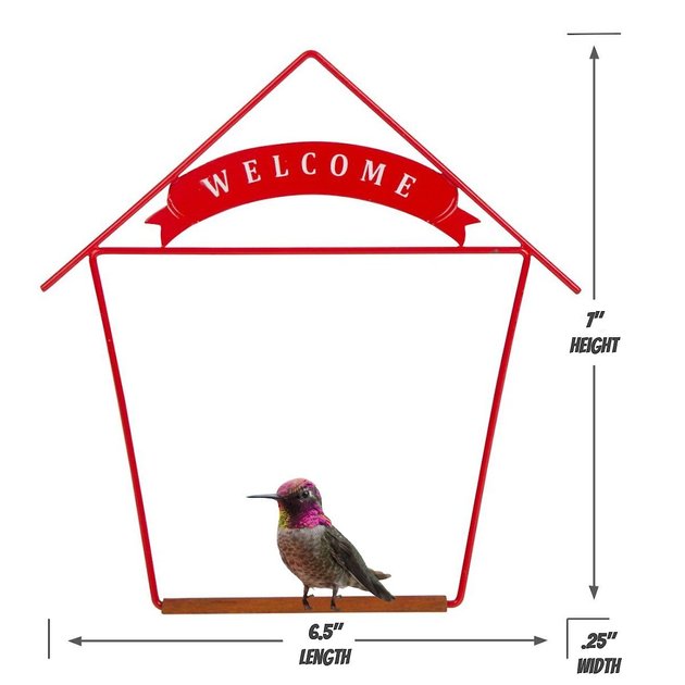 The Original Pop's Hummingbird Swing Black Metal Hanging Perch 