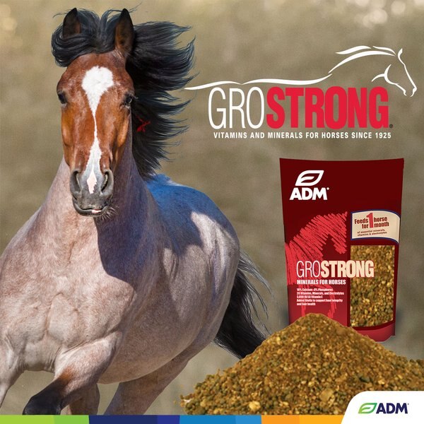 ADM GROSTRONG Granules Horse Supplement