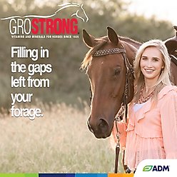 ADM GROSTRONG Granules Horse Supplement, 5-lb bag slide 2 of 3