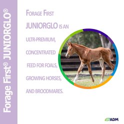 ADM Forage First JuniorGlo Horse Feed, 50-lb bag slide 2 of 3