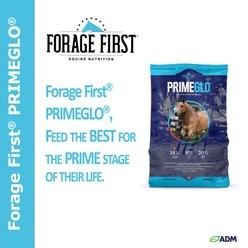 ADM PRIMEGLO Forage First Premium Nutrition Mature Horse Feed, 50-lb bag slide 2 of 3