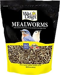 Wild Delight Mealworms Wild Bird Food, 16-oz bag