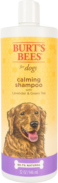 Burt's Bees Lavender & Green Tea Calming Dog Shampoo, 32-oz bottle slide 1 of 4