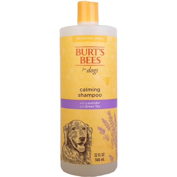 BURT'S BEES Lavender & Green Tea Calming Dog Shampoo, 32oz bottle