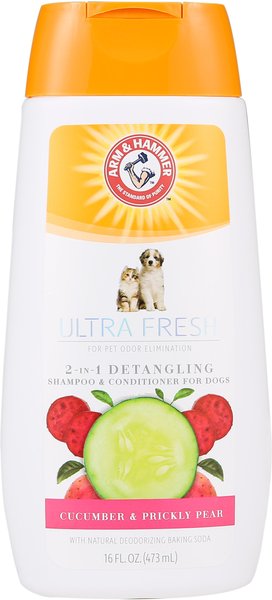ARM & HAMMER PRODUCTS Pet Fresh 2-in-1 Detangling Cucumber & Prickly Pear Dog Shampoo & Conditioner, 16-oz bottle slide 1 of 2