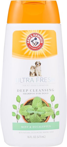 Arm & Hammer Pet Fresh Deep Cleansing Mint & Eucalyptus Dog Shampoo, 16-oz bottle slide 1 of 2