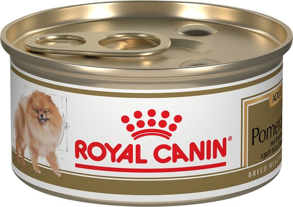 Royal Canin Breed Health Nutrition Pomeranian Adult Loaf in Sauce Canned Dog Food, 3-oz, case of 24 slide 1 of 7