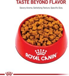 Royal Canin Breed Health Nutrition German Shepherd Adult 5+ Dry Dog Food, 28-lb bag slide 2 of 6