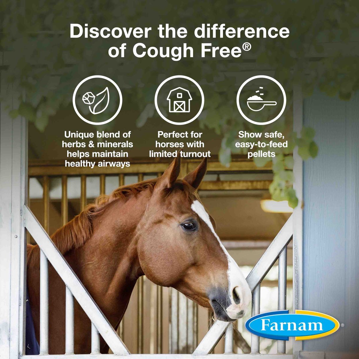 FARNAM Cough Free Equine Respiratory Health Pellets Horse Supplement, 1