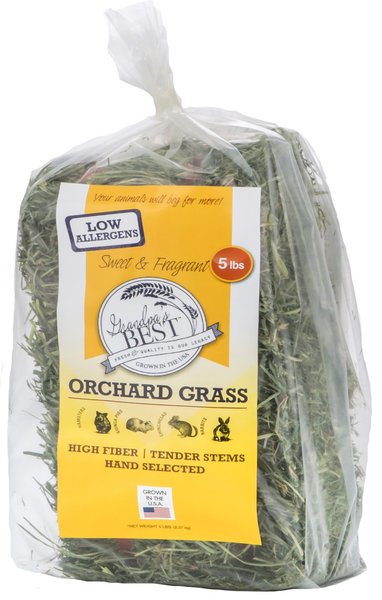 Grandpa's Best Orchard Grass Hay Small Pet Food, 5-lb mini bale slide 1 of 7
