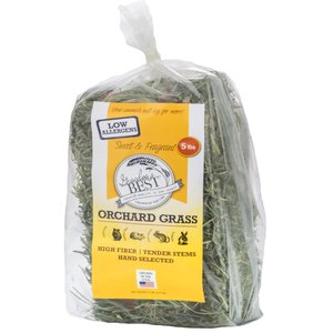 Grandpa's Best Orchard Grass Hay Small Pet Food, 5-lb mini bale