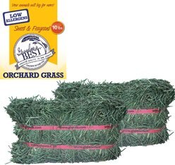 Grandpa's Best Orchard Grass Hay Small Pet Food, 5-lb mini bale, 2 count