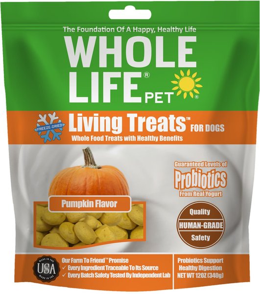 Whole Life Living Treats Pumpkin Flavor Freeze-Dried Dog Treats, 12-oz bag slide 1 of 7