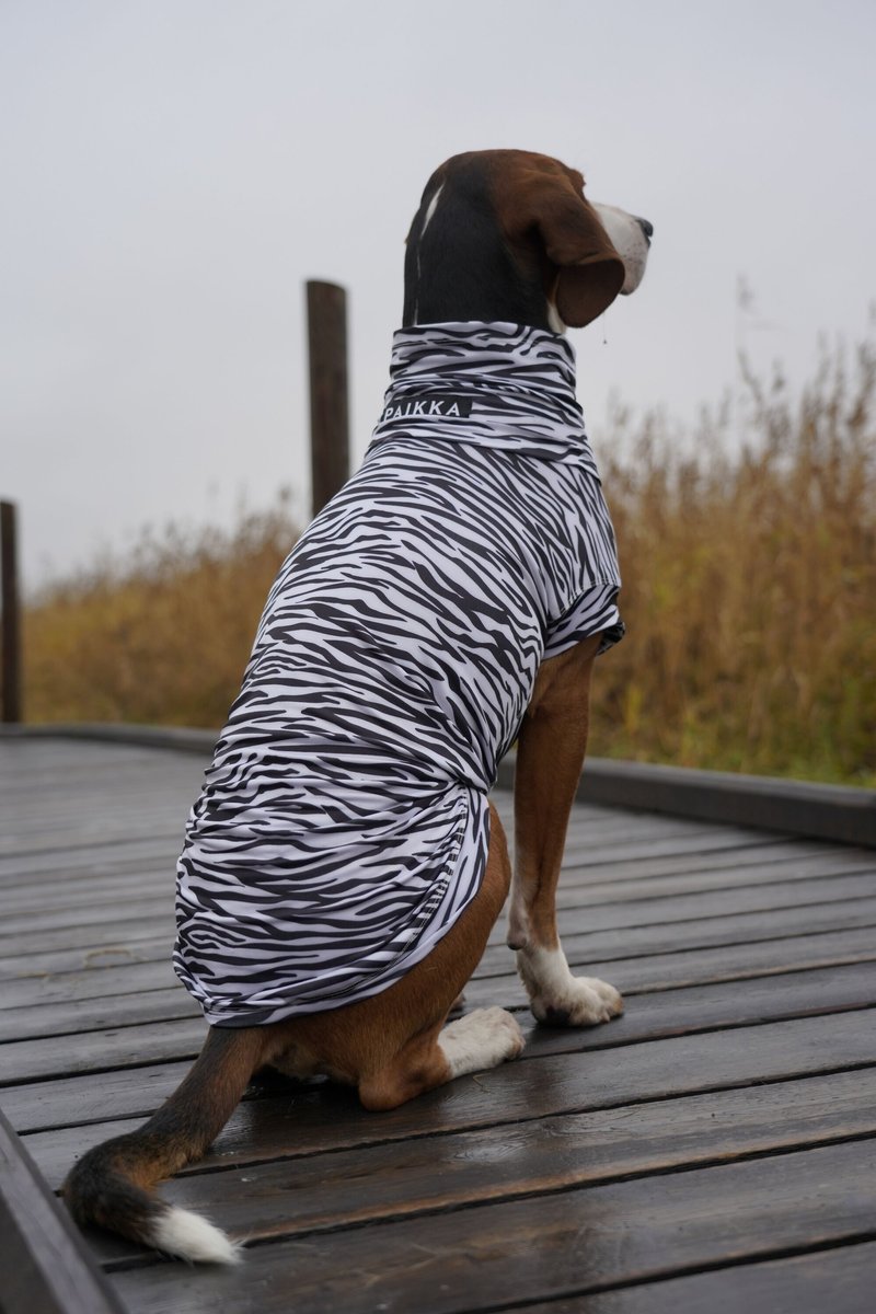PAIKKA UV & Bug Dog Shirt