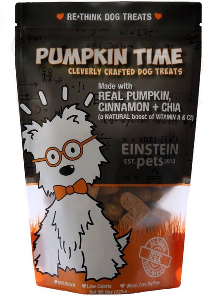Einstein Pets Wheat-Free Pumpkin Time Real Pumpkin, Cinnamon & Chia Natural Oven Baked Dog Treats, 8-oz bag slide 1 of 4