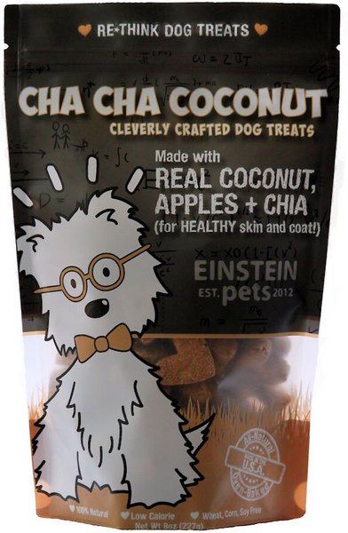 Einstein Pets Wheat-Free Cha Cha Coconut Real Coconut, Apples & Chia Natural Oven Baked Dog Treats, 8-oz bag slide 1 of 4