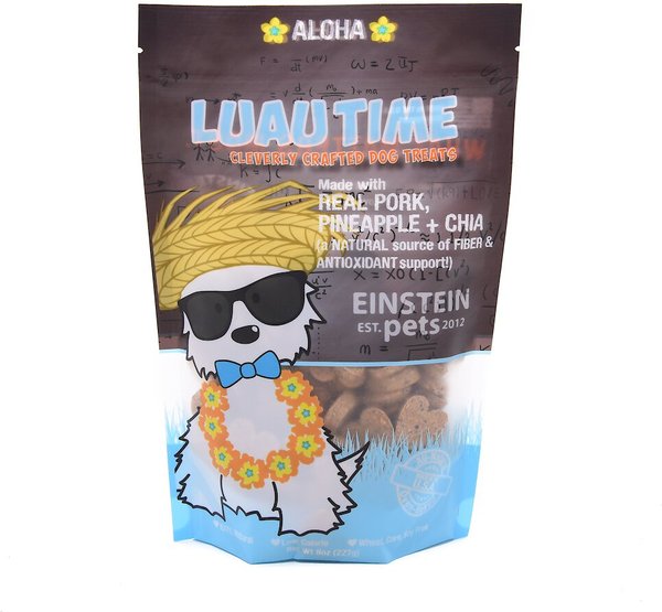 Einstein Pets Wheat-Free Luau Time Real Pork, Pineapple & Chia Oven Baked Dog Treats, 8-oz bag slide 1 of 4