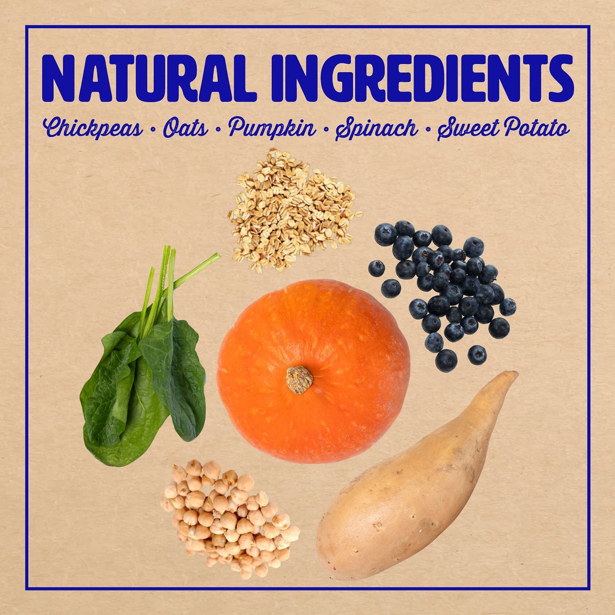 WILD EARTH Healthy HighProtein Formula Dry Dog Food, 4lb bag