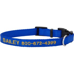 Frisco Nylon Personalized Dog Collar, Blue, Small: 10 to 14-in neck, 5/8-in wide