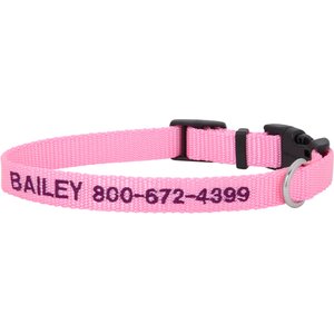 Chewy Small Dog Collar 