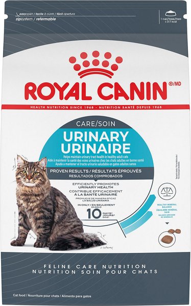 Urinary so fashion dry cat food