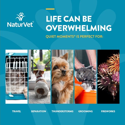 NaturVet Quiet Moments Liquid Calming Supplement for Cats & Dogs, 2-oz bottle