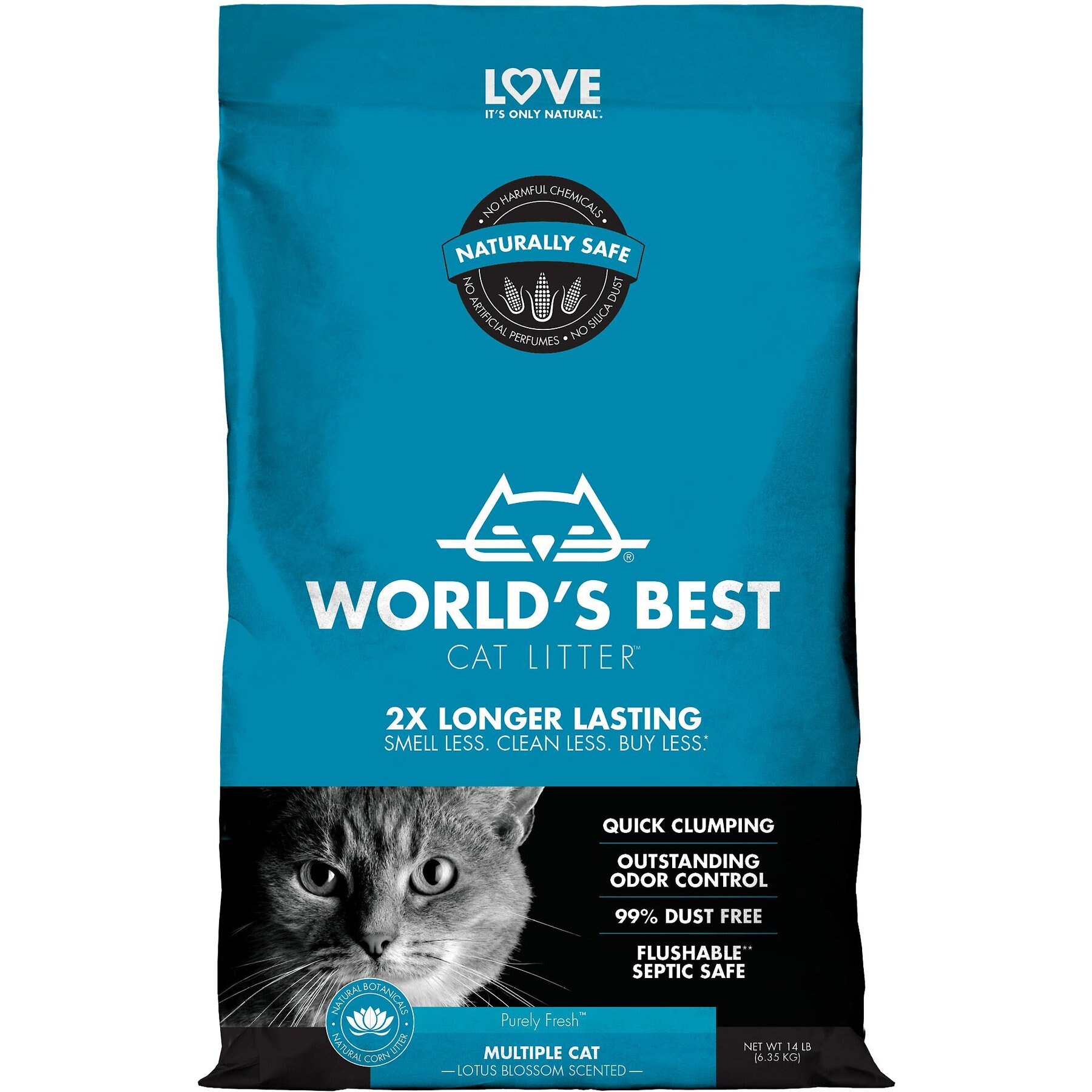 Best cat litter discount smell