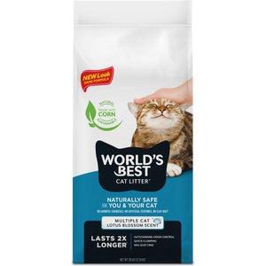 Best clumping cat litter 2019 best sale