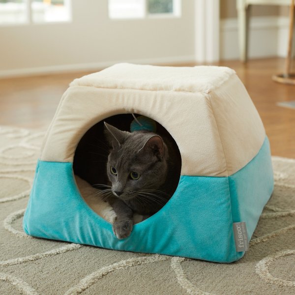 Covered cat beds best sale